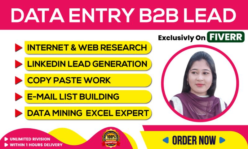 Data entry B2B lead LinkedIn and web research expert