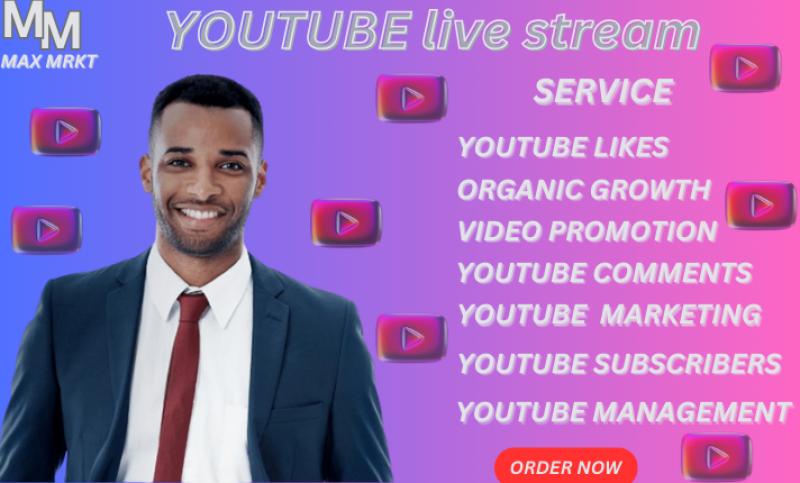 I will do YouTube live stream promotion, video promotion