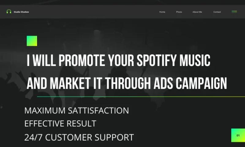 I will do organic Spotify music, album promotion and marketing with ads campaign