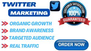 I Will Do Twitter Promotion, Engagement, Marketing for Fast and Organic Growth