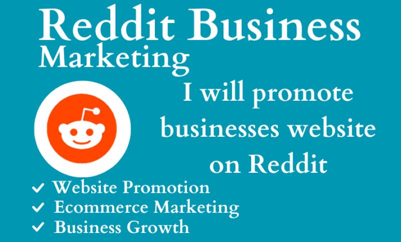 I will villay promote business, ecommerce, saas, website with organic reddit marketing