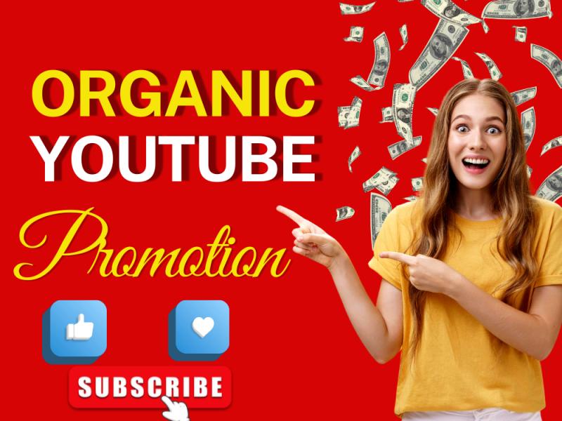 I will do organic YouTube channel video promotion