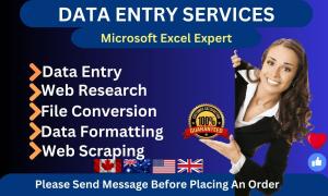 I will do professional data entry, copy paste, typing job in low price