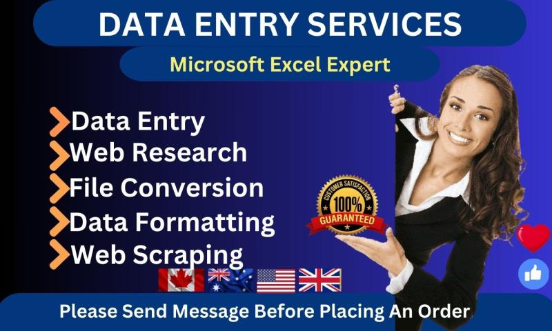 I will do professional data entry, copy paste, typing job in low price