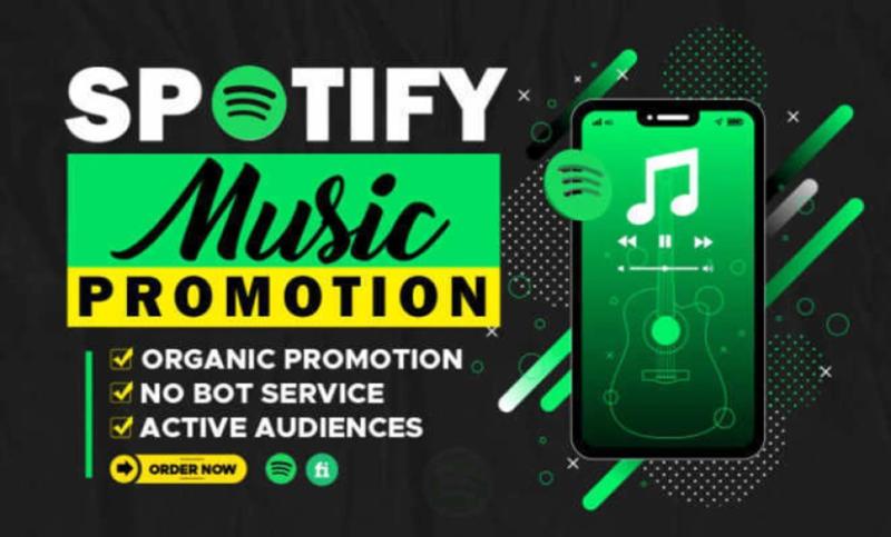 Do Organic Spotify Music Promotion | Spotify Album Promotion