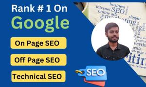 I will do website seo, on page and technical optimization for wordpress, shopify, wix