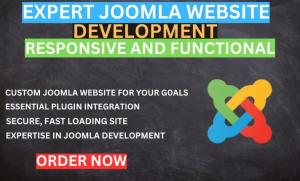 I will develop business website or landing page with Joomla