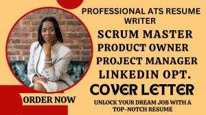 I will craft scrum master resume, project management, product owner, and scrum master