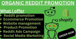 I will do effective Reddit promotion for your website to boost your ecommerce business