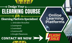 I will do training manual, instructional manual, training course, user guide manual design