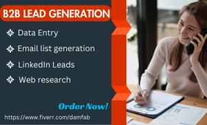 I will do b2b lead generation and data entry