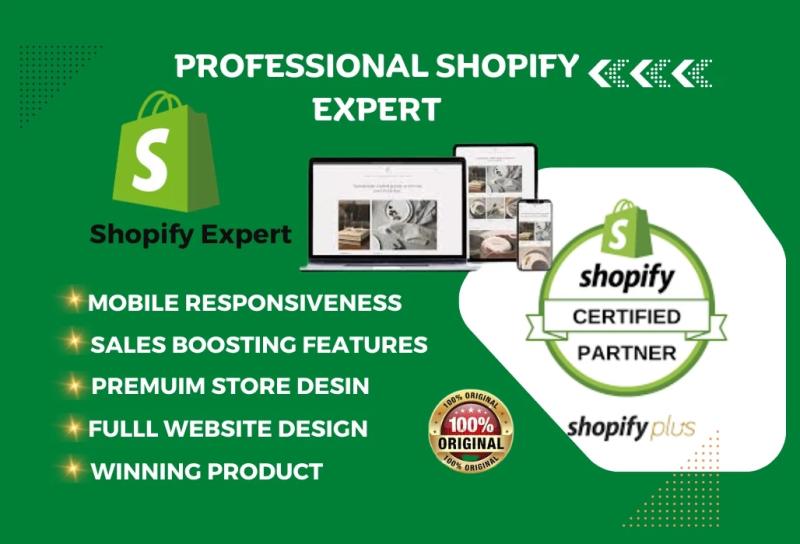 I will set up Shopify, Etsy store, Shopify dropshipping Etsy print on demand