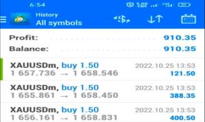 I will set up automated forex trading bot, forex ea, forex bot, forex ea bot, gold ea