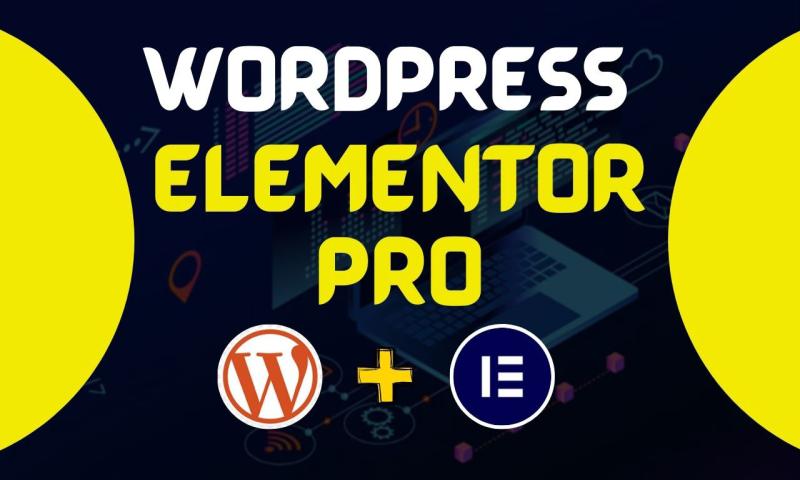I will build wordpress website and wordpress landing page using wordpress elementor pro