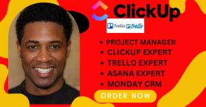I will be your project management consultant for trello, asana, and clickup