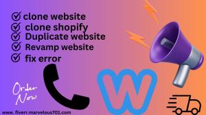 i will redesign copy clone duplicate customize wordpress website