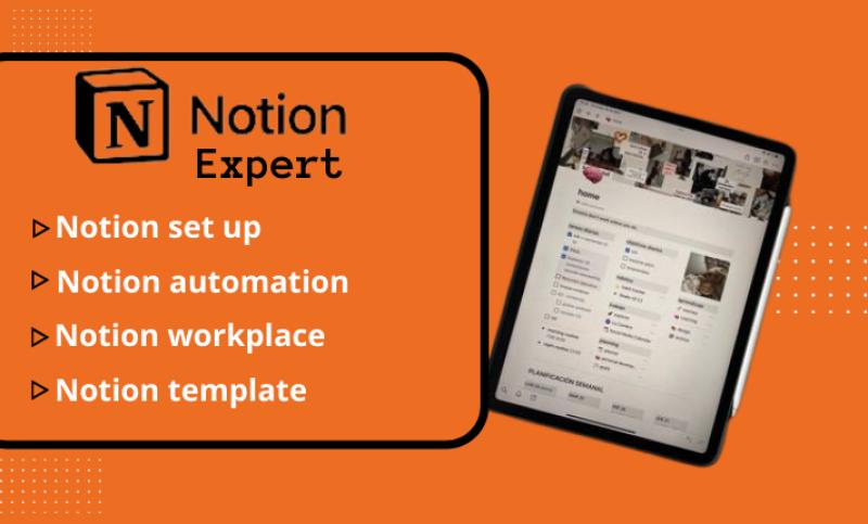 I will design notion template for your business or personal use notion workspace