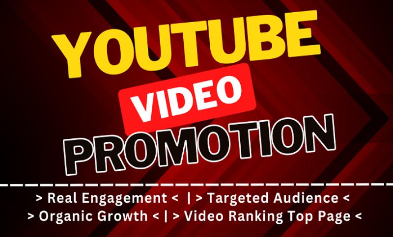 I will skyrocket your youtube video organically