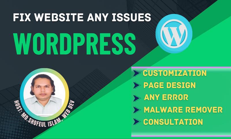 I will fix WordPress website any issues, bugs, and customization