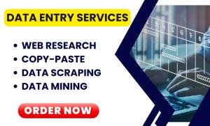 I will make data entry, web research excel data email phone address