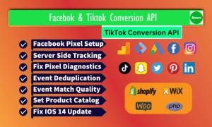 I will setup TikTok Pixel, Conversion API, GA4 Server Side Tracking for Your Website