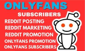 I will provide OnlyFans page management, audit, web link marketing, Reddit promotion, and boost your traffic