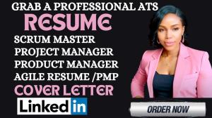 I will offer resumes for project management, scrum master positions and IT roles