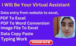 I will do urgent data entry , copy paste, typing work