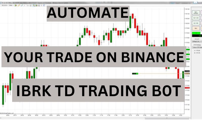 I will automate your trade on binance ibkr td trading b0t
