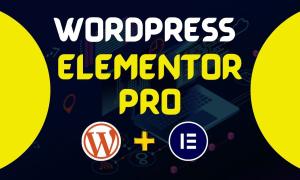 I will build business and ecommerce website or WordPress blogs using Elementor Pro