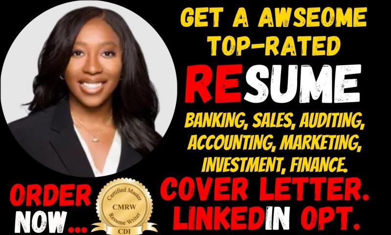 I will banking resume, auditing, marketing, sales, investment, accounting, finance CV