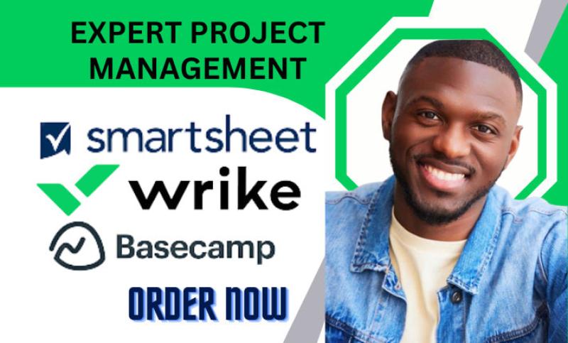 I will boost efficiency with Wrike, Smartsheet, and Basecamp to transform your projects