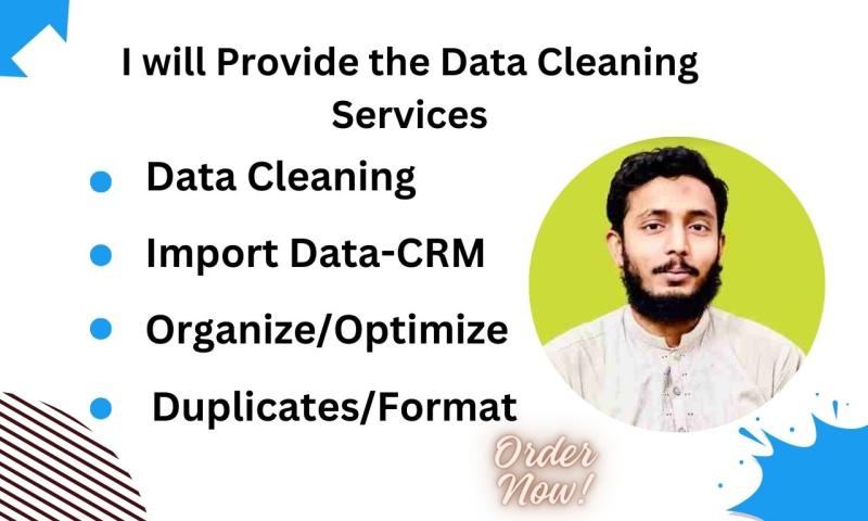 I will provide data cleaning services