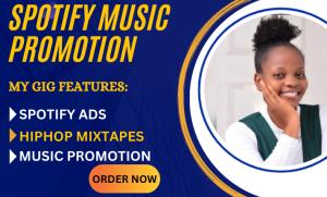 I will create and run Spotify ads to promote your Spotify music worldwide