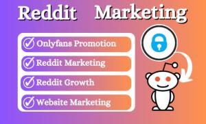 I will do OnlyFans business website promotion, adult web marketing, Reddit & Twitter ads
