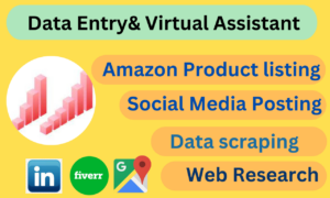 I will data entry, web research, virtual assistant, copy paste job