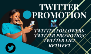 I will twitter marketing and promotion to increase organic growth, nft crypto