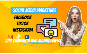 I will setup optimize facebook instagram meta ads tiktok marketing for leads and sales