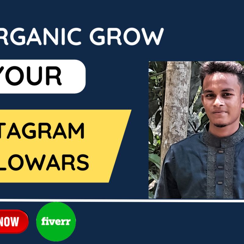I will be your instagram marketing manager promotion your page