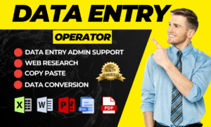 I will do professional excel data entry, copy paste, web research and typing