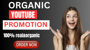 I will do organic youtube channel promotion and video promotion for channel growth