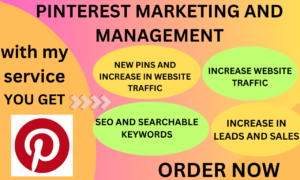 I will pinterest marketing etsy marketing shopify marketing to promote your store