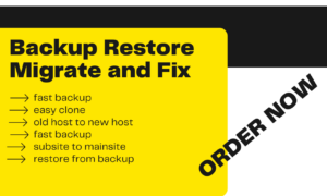 I will backup, migrate, transfer, restore and clone a wordpress website and wix website