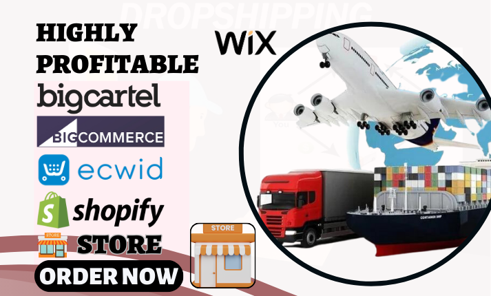 I will build highly profitable big cartel website bigcommerce store wix shopify website