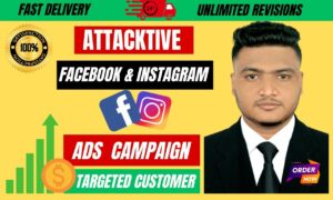 I will set your facebook and instagram ads for more sales and manage shopify fb ads