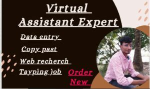 I will do competently perform proper data entry, copy past, typing job,