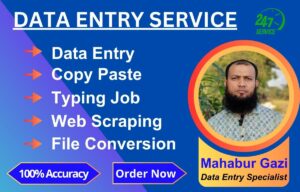 I will do the data entry work, web scraping, copy paste