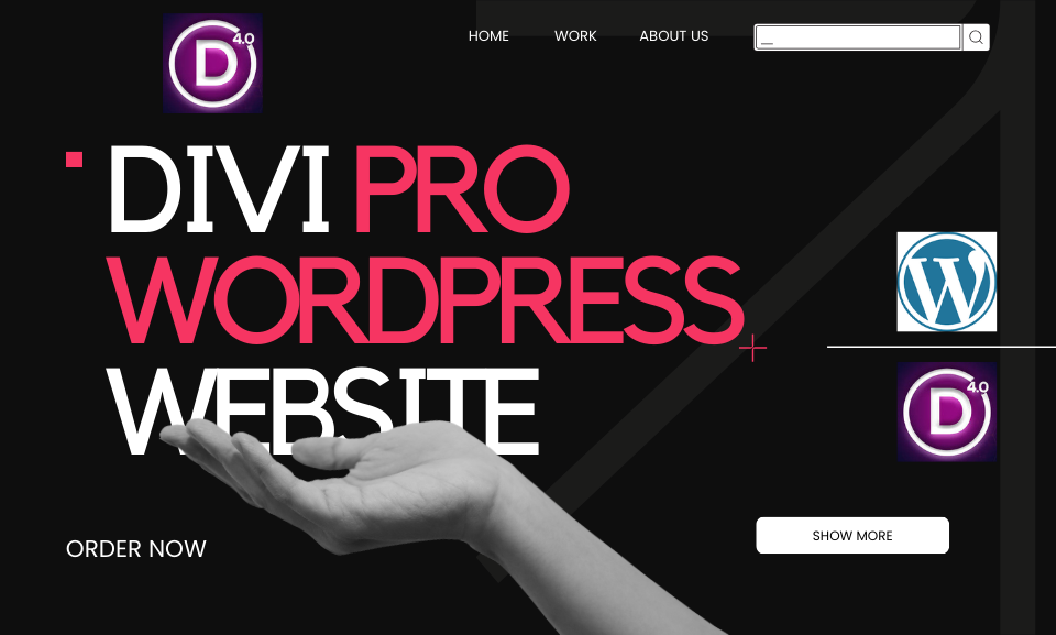 I will be your wordpress website designer and divi expert for your divi theme and web
