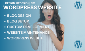 I will update, fix, redesign wordpress blog website, expert business website design