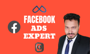 I will do high converting and dynamic facebook ads campaign